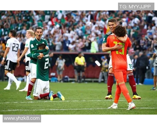 瑞典与墨西哥比赛全场数据分析及精彩回顾