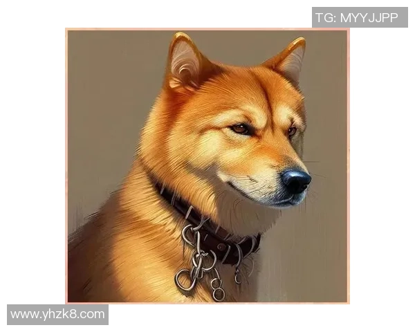 琐窗风雨三二情背后的生肖秘密与人生哲理探讨