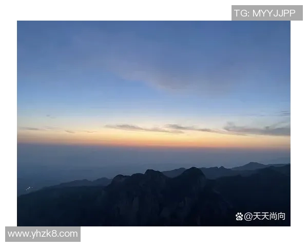 暮色苍茫中挺立的松树诉说着坚韧与希望的故事 暮色苍茫中挺立的松树诉说着坚韧与希望的故事